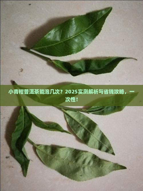小青柑普洱茶浸泡次数