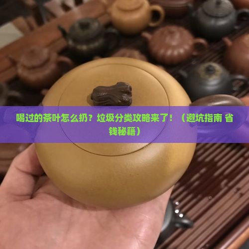 喝过的茶叶属于什么垃圾如何处理