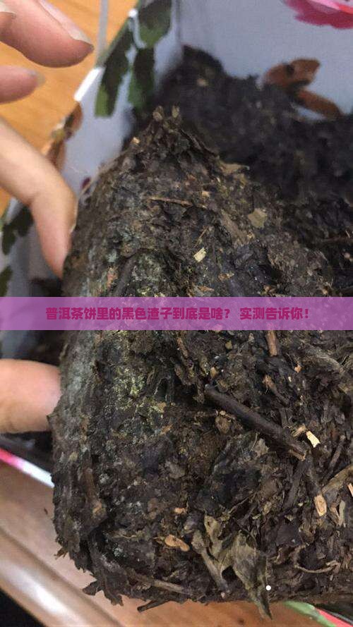 普洱茶饼里的黑色渣子