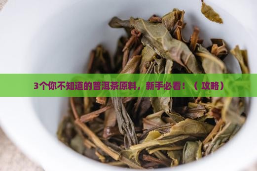 普洱茶的原料有什么