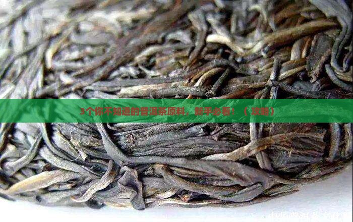 普洱茶的原料有什么