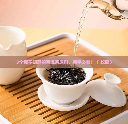 普洱茶的原料有什么