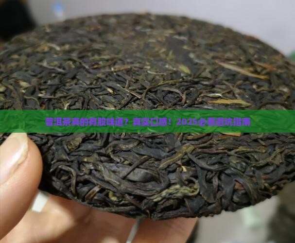 普洱茶有没有股味道