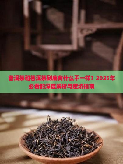 普洱茶与苍洱茶有什么区别
