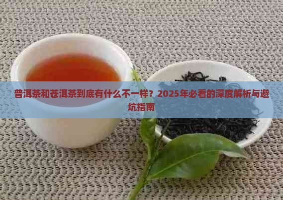 普洱茶与苍洱茶有什么区别
