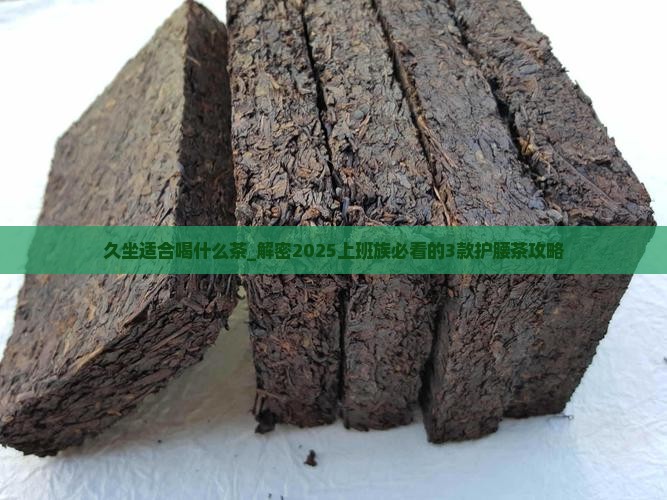 久坐适合喝什么茶