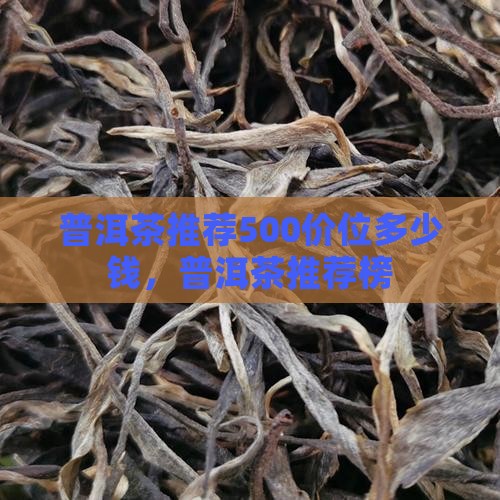 普洱茶推荐500价位