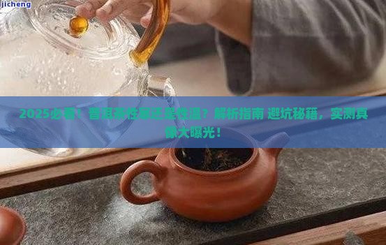 普洱性寒还是性温