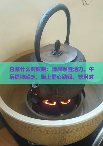 白茶什么时候喝