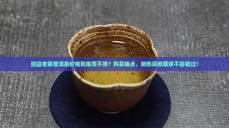 班盆老寨普洱茶价格