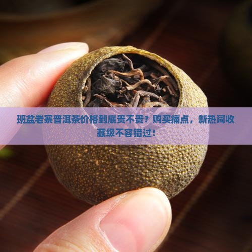 班盆老寨普洱茶价格