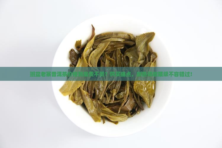班盆老寨普洱茶价格