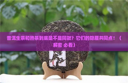普洱生茶和熟茶有什么相同的