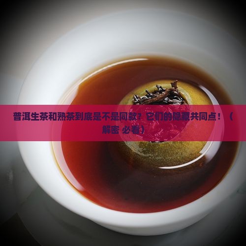 普洱生茶和熟茶有什么相同的