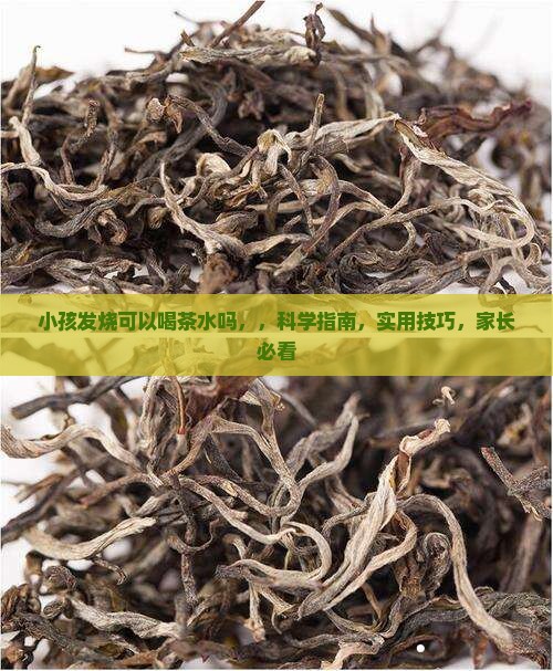 小孩发烧可以喝茶水吗