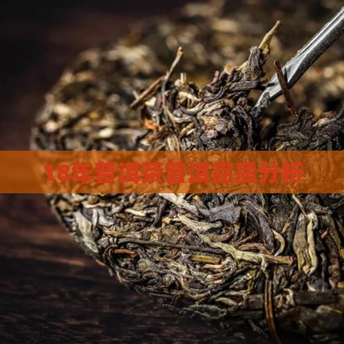 18年普洱茶的质量