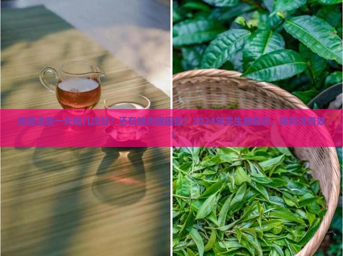 熟普洱茶一天喝几次好