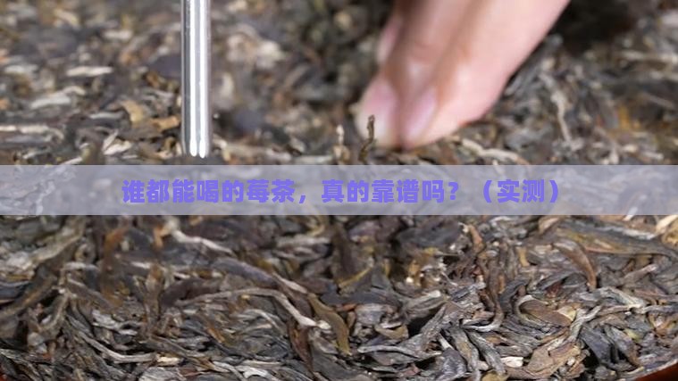莓茶是什么人都可以喝