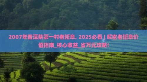 2007年普洱茶第一村老班章