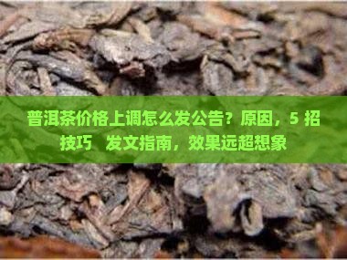 普洱茶价格上调怎么发公告