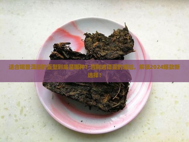 适合喝普洱茶的壶型