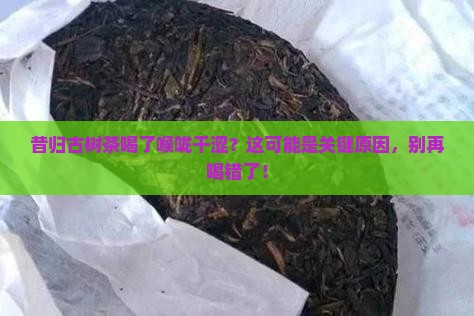 昔归古树茶喝了喉咙干涩