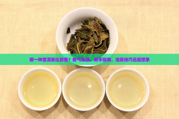 哪一种普洱茶比较香