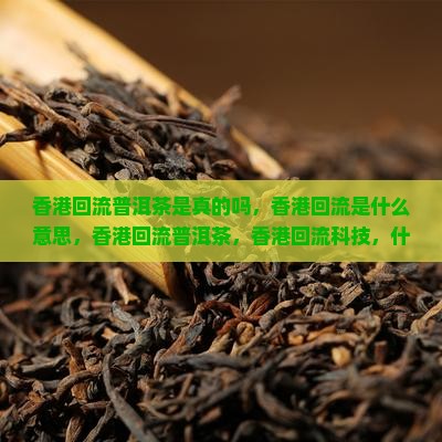香港回流普洱茶是真的吗