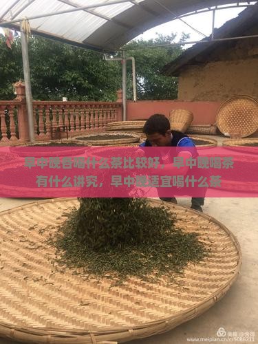 早中晚各喝什么茶比较好