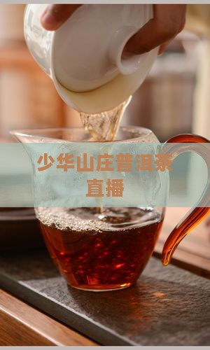 郭少华藏剑山庄普洱茶直播