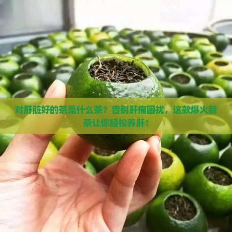 对肝脏好的茶是什么茶