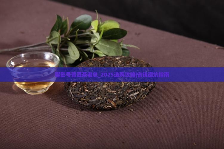 曜影号普洱茶老总