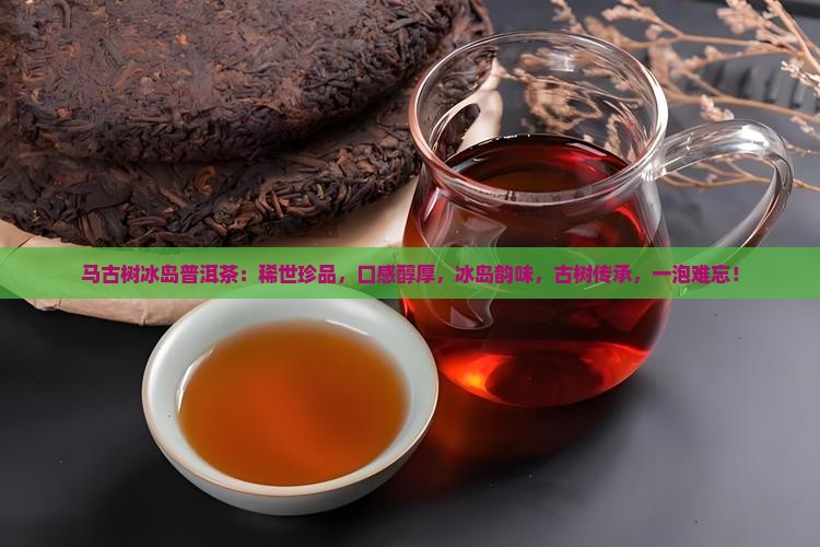 马队长古树冰岛普洱茶