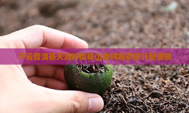 卢云普洱茶天润祥南糯山