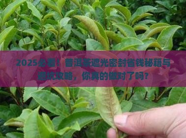 普洱茶遮光密封
