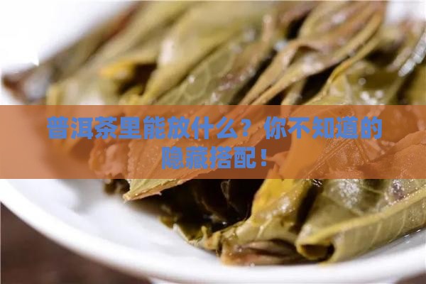 普洱茶里能放什么