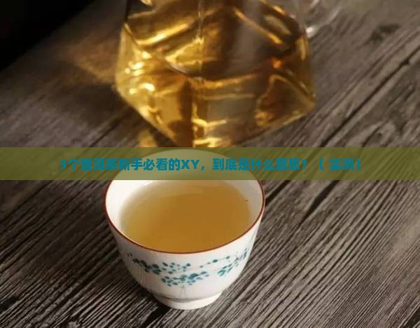 普洱茶XY是什么意思