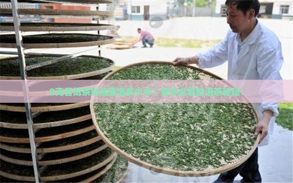 8克普洱茶多少水泡