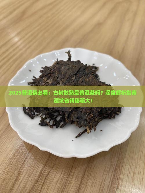 古树散熟是普洱茶吗