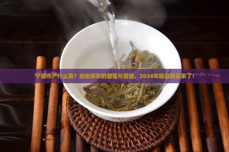 宁德市产什么茶