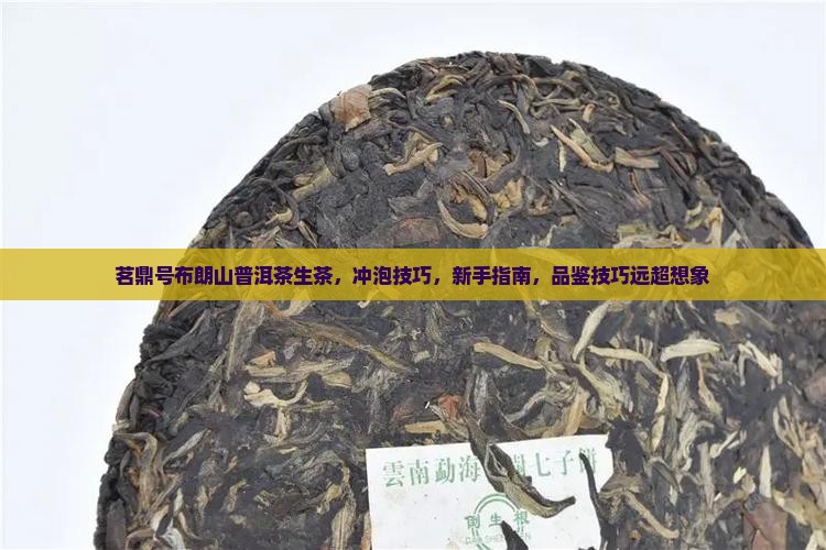 茗鼎号布朗山普洱茶生茶