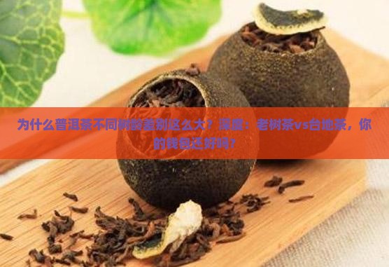 普洱茶不同树龄对比