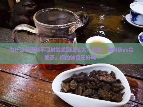 普洱茶不同树龄对比