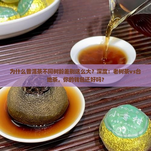 普洱茶不同树龄对比