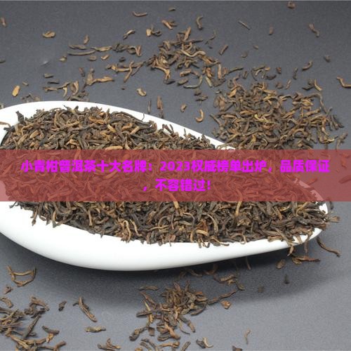 小青柑普洱茶十大名牌