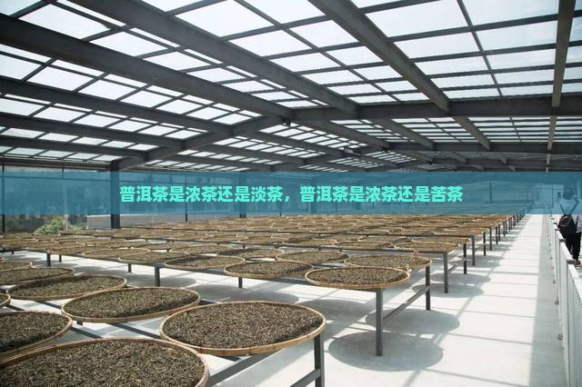 普洱茶是浓茶还是