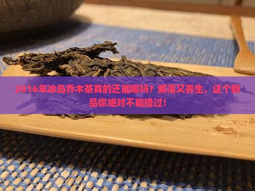 2016年冰岛乔木茶