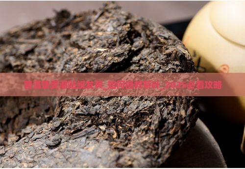 普洱茶受潮贴纸发黄