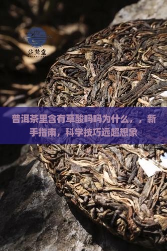 普洱茶里含有草酸吗吗为什么