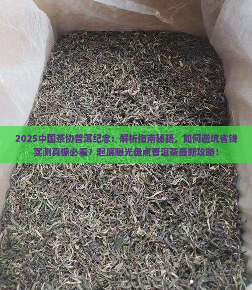中国茶协普洱纪念